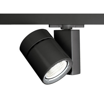 Exterminator Ii- 1035 LED Track Fixture in Black (34|WHK-1035F-930-BK)