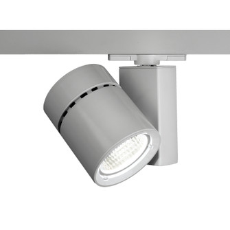 Exterminator Ii- 1035 LED Track Head in Platinum (34|WTK-1035F-830-PT)