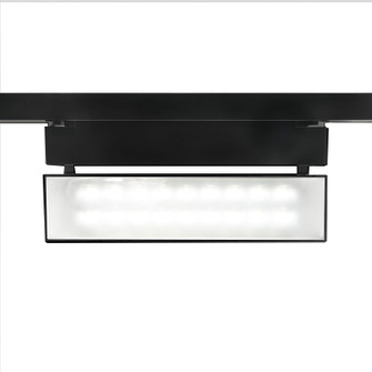 Wall Wash 42 LED Track Fixture in Black (34|WTK-LED42W-27-BK)