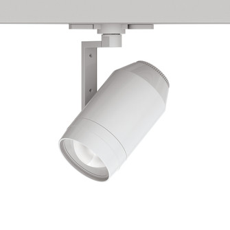Paloma LED Track Head in White (34|WTK-LED523-40-WT)