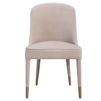 Brie Armless Chair Set Of 2 in Brushed Brass (52|23593-2)