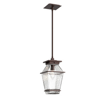 Outdoor Lighting One Light Pendant in Statuary Bronze (404|OPB0077-01-SB-C-001-E2)