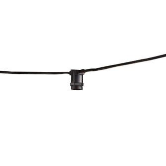 String String Light in String Light - Black - Bulbs not Included (427|810056)