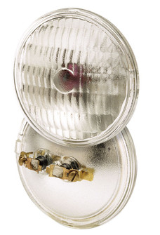 Light Bulb in Clear (230|S8198)