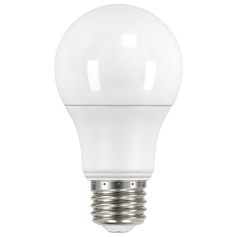 Light Bulb in Frost (230|S11451)