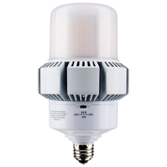 Light Bulb in White (230|S13166)