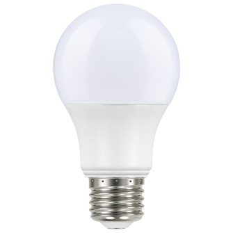 Light Bulb in Frost (230|S11429)