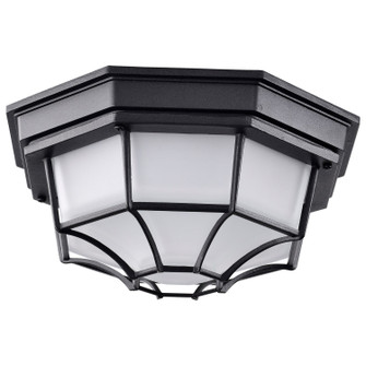 LED Spider Cage Fixture in Black (72|62-1400)