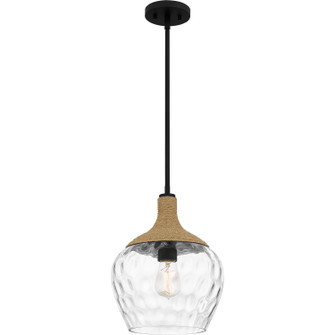 Quoizel Piccolo Pendant One Light Mini Pendant in Matte Black (10|QPPC5603MBK)