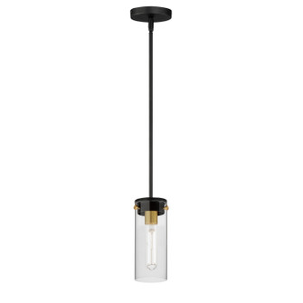 Pinn One Light Mini Pendant in Black / Satin Brass (16|12406CLBKSBR)