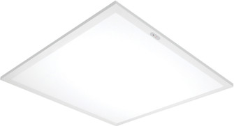 LED Flat Panel in White (72|65-355)