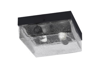 Flush Mounts Two Light Flush Mount in Matte Black (200|840-MB-0)