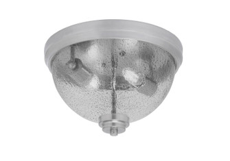 Flush Mounts Two Light Flush Mount in Brushed Nickel (200|822-BN-2)