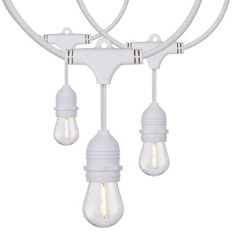 LED String Light in White (230|S8038)