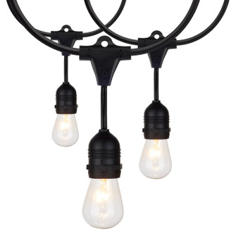 12 Light String Light in Black (230|S8035)
