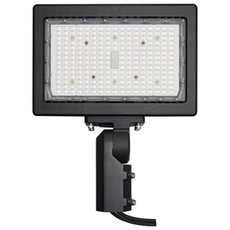 LED Flood Light in Bronze (72|65-619R1)