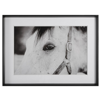 Eye Of The Beholder Framed Print in Satin Black Chamfered Edge (52|41463)