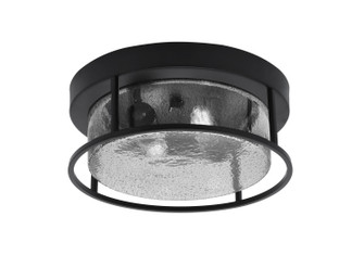Flush Mounts Two Light Flush Mount in Matte Black (200|812-MB-2)