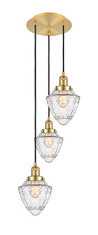 Franklin Restoration Three Light Pendant in Satin Gold (405|113F-3P-SG-G664-7)