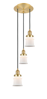 Franklin Restoration Three Light Pendant in Satin Gold (405|113F-3P-SG-G181S)