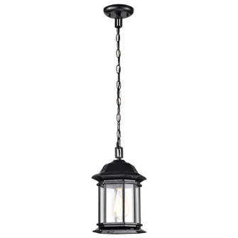 Hopkins One Light Outdoor Hanging Lantern in Matte Black (72|60-6117)