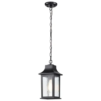 Stillwell One Light Outdoor Hanging Lantern in Matte Black (72|60-5958)