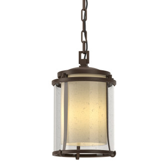 Meridian One Light Outdoor Ceiling Fixture in Coastal Bronze (39|365610-SKT-75-ZS0297)