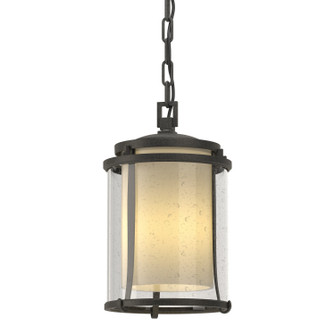 Meridian Meridian Outdoor Ceiling Fixture in Coastal Natural Iron (39|365610-SKT-20-ZS0297)