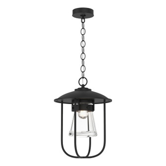 Erlenmeyer Erlenmeyer Outdoor Pendant in Coastal Black (39|356010-SKT-80-ZM0467)