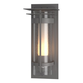 Torch One Light Outdoor Wall Sconce in Coastal Burnished Steel (39|305999-SKT-78-ZS0664)