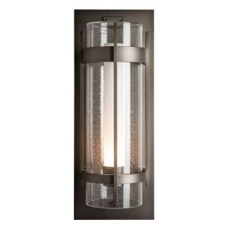 Torch One Light Outdoor Wall Sconce in Coastal Dark Smoke (39|305899-SKT-77-ZS0664)