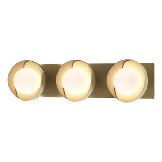 Brooklyn Brooklyn 3-Light Straight Double Shade Bath Sconce in Modern Brass (39|201378-SKT-86-86-GG0711)