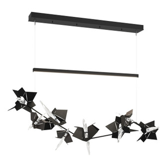 Belladonna Belladonna LED Pendant in Black (39|139813-LED-STND-10-14-CR)