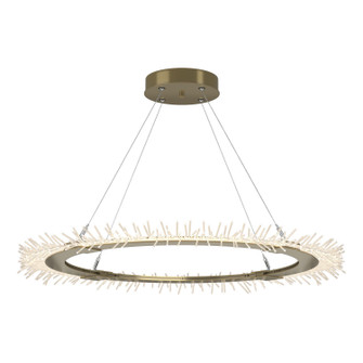 Anemone Anemone Circular LED Pendant in Modern Brass (39|139772-LED-STND-86)