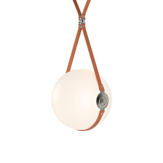 Derby Derby Large LED Pendant in Black (39|131042-LED-SHRT-10-24-LC-NL-GG0680)