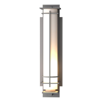 After Hours One Light Outdoor Wall Sconce in Coastal Burnished Steel (39|307861-SKT-78-GG0189)