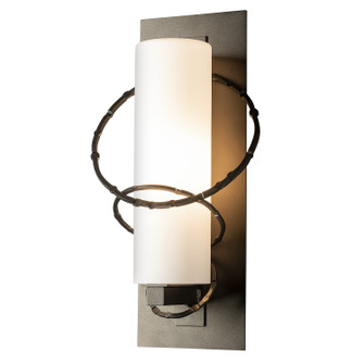 Olympus One Light Outdoor Wall Sconce in Coastal Bronze (39|302401-SKT-75-GG0066)