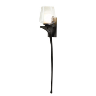 Antasia One Light Wall Sconce in Modern Brass (39|204712-SKT-RGT-86-ZU0291)