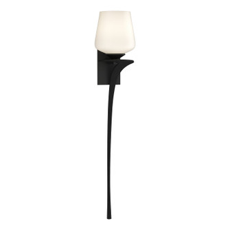 Antasia Antasia Single Glass 1 Light Sconce in Black (39|204710-SKT-RGT-10-GG0236)
