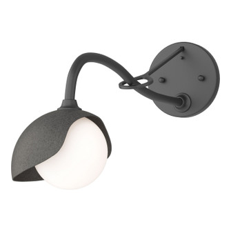 Brooklyn One Light Wall Sconce in Black (39|201376-SKT-10-20-GG0711)
