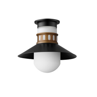 Admiralty One Light Outdoor Flush Mount in Black / Antique Brass (16|35120SWBKAB)