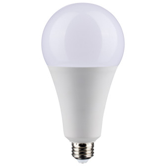 Light Bulb in Frost (230|S11482)