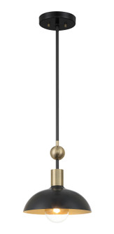 BILOXI One Light Pendant in Coal (7|1994-862)