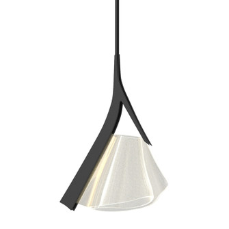 Mobius Mobius LED Mini Pendant in Black (39|139845-LED-MULT-10)