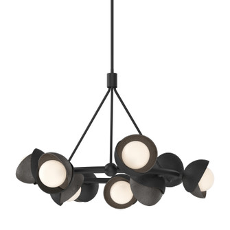 Brooklyn Brooklyn 9-Light Double Shade Ring Pendant in Black (39|131068-SKT-MULT-10-14-GG0711)