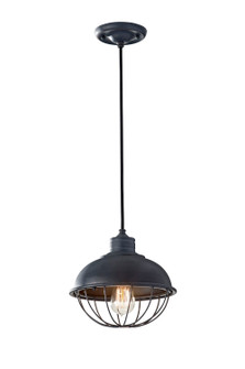 Urban Renewal One Light Pendant in Antique Forged Iron (1|P1242AF)