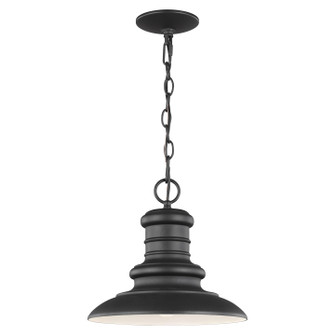 Redding Station One Light Outdoor Pendant in Textured Black (1|OL8904TXB)