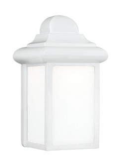 Mullberry Hill One Light Outdoor Wall Lantern in White (1|8988EN3-15)