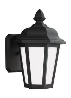 Brentwood One Light Outdoor Wall Lantern in Black (1|89822EN3-12)