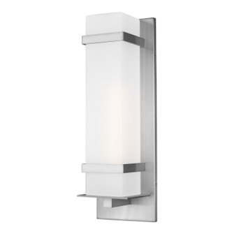 Alban One Light Outdoor Wall Lantern in Satin Aluminum (1|8720701EN3-04)